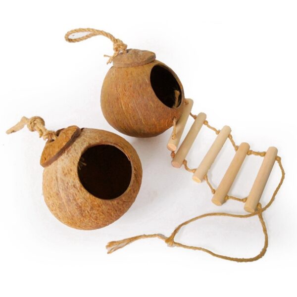 Natural coconut shell bird nest - Image 6