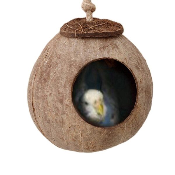 Natural coconut shell bird nest - Image 7