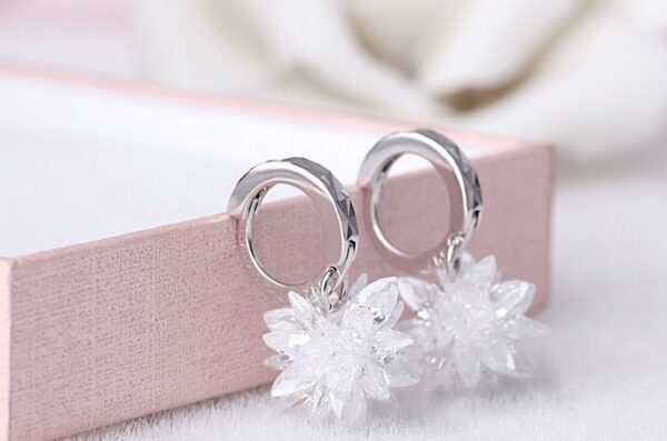 New fashion pure beauty ice 925 silver earrings hypoallergenic non-fading earrings - Image 4