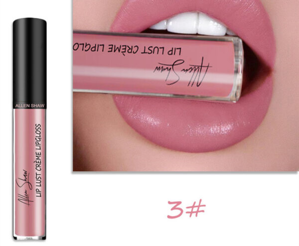 Silky Cream Texture Lip Gloss Aliexpress Shopee Cross-Border Exclusive Lip Glaze Lip Gloss Lipstick - Image 3