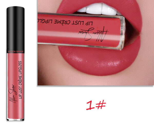 Silky Cream Texture Lip Gloss Aliexpress Shopee Cross-Border Exclusive Lip Glaze Lip Gloss Lipstick - Image 2