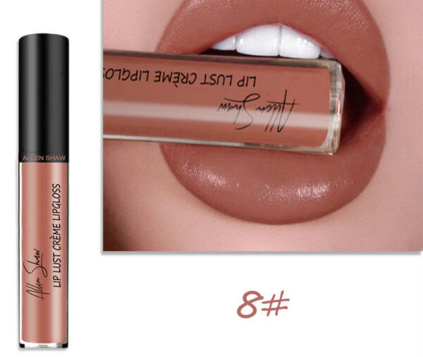 Silky Cream Texture Lip Gloss Aliexpress Shopee Cross-Border Exclusive Lip Glaze Lip Gloss Lipstick - Image 6