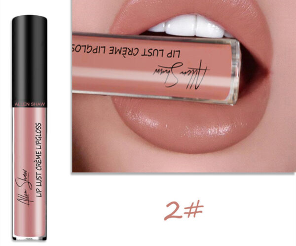 Silky Cream Texture Lip Gloss Aliexpress Shopee Cross-Border Exclusive Lip Glaze Lip Gloss Lipstick - Image 10