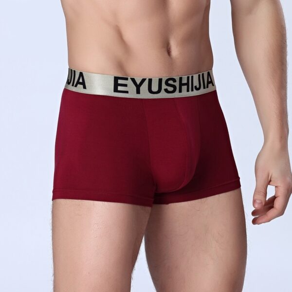 Men's boxer briefs - Image 3