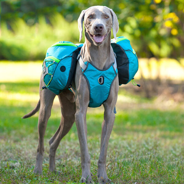 Pet self backpack - Image 3