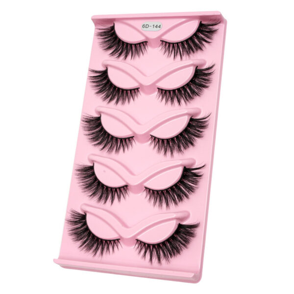 Women's One-piece Five-pair Cat Eye Oblique Flying Stage Makeup Thick Cat Eye Eyelash - Image 3