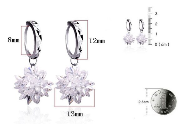 New fashion pure beauty ice 925 silver earrings hypoallergenic non-fading earrings - Image 6