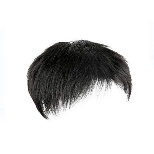 Middle-aged And Elderly Xie Ding Hairpiece Men's Natural Wig - Image 5