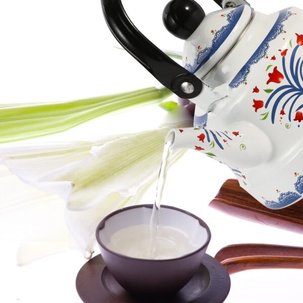 Enamel 5L Teapot Enamel Pot Enamel Pot Kettle For Induction Cooker - Image 3