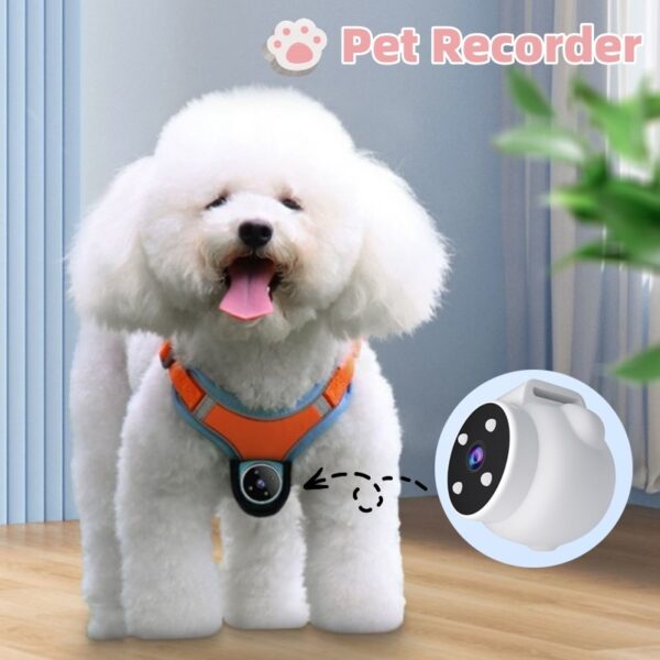 Pets Recorder Pet Tracker Collar Dogs And Cats Viewing Angle Motion Recording Camera Action Camera With Video Records Cat Collars Camera Sport Pet Products