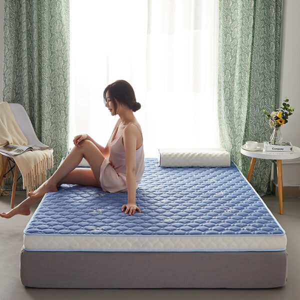 Latex Mattress High Rebound 3D Stereo Mat Tatami Mattress - Image 8