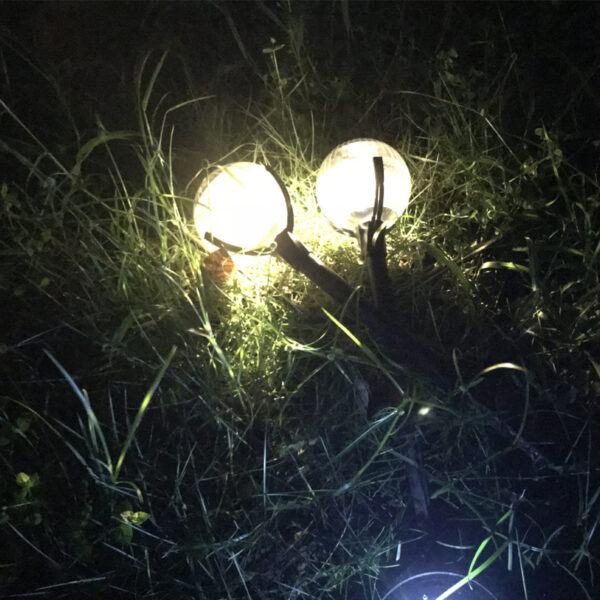 New Outdoor Solar Lawn Light, Creative Magic Ball, Home Garden Light, Garden Decoration Light, Street Light - Image 2