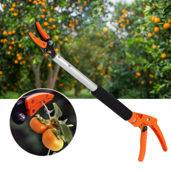 Fruit Picker Scissors Cutter for Grapes Peach Branch Pruning Shears Gardening Accessory - Image 6