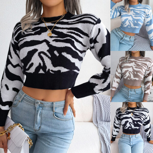 Long Sleeves Cropped Knitted Sweater For Women