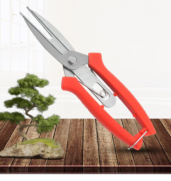 Stainless Steel Double-headed Garden Pruning Fruit And Vegetable Picking Scissors Bonsai Tool Flower Grafting Scissors - Image 3